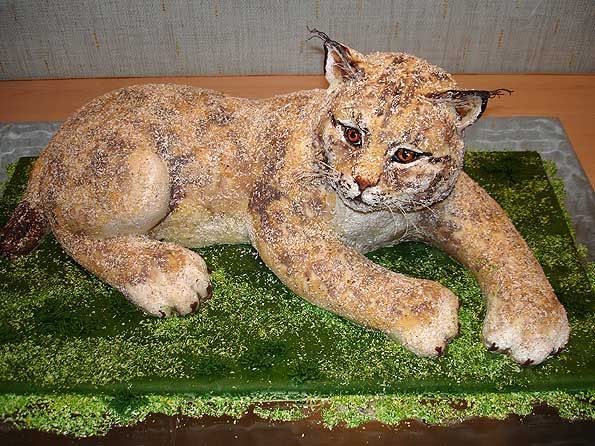 Very creative cakes (202 pics)
