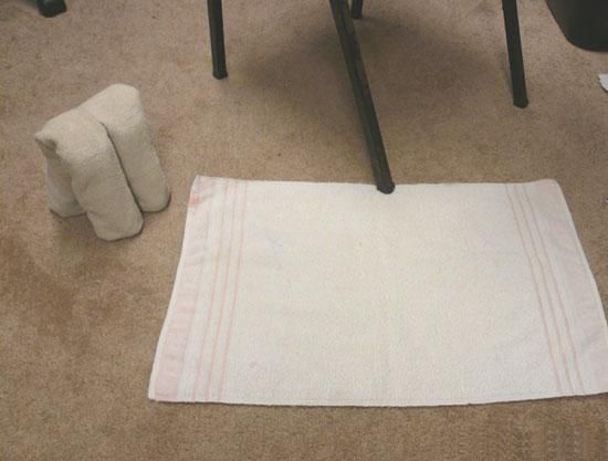How to make an elephant from towels (16 photos)