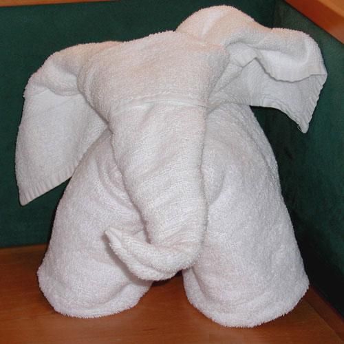 How to make an elephant from towels