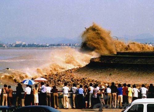 A tidal bore of 2002 (18 photos)