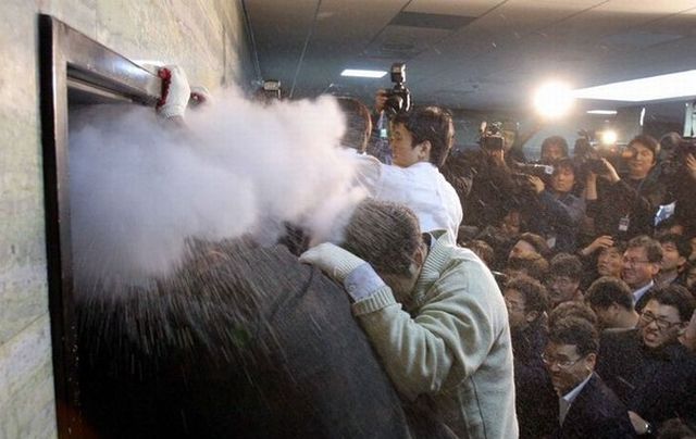Political clashes in South Korea (11 photos)