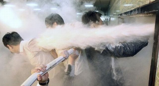 Political clashes in South Korea (11 photos)