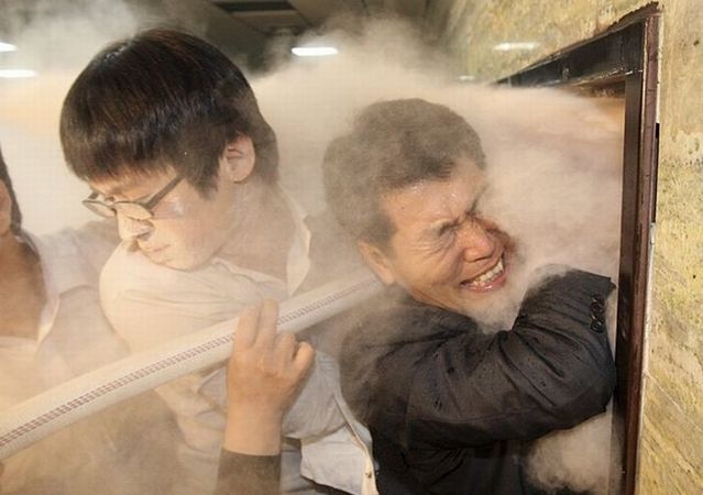Political clashes in South Korea (11 photos)