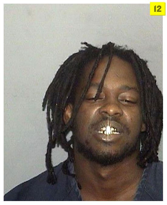The best mug shots of 2008 (20 pics)