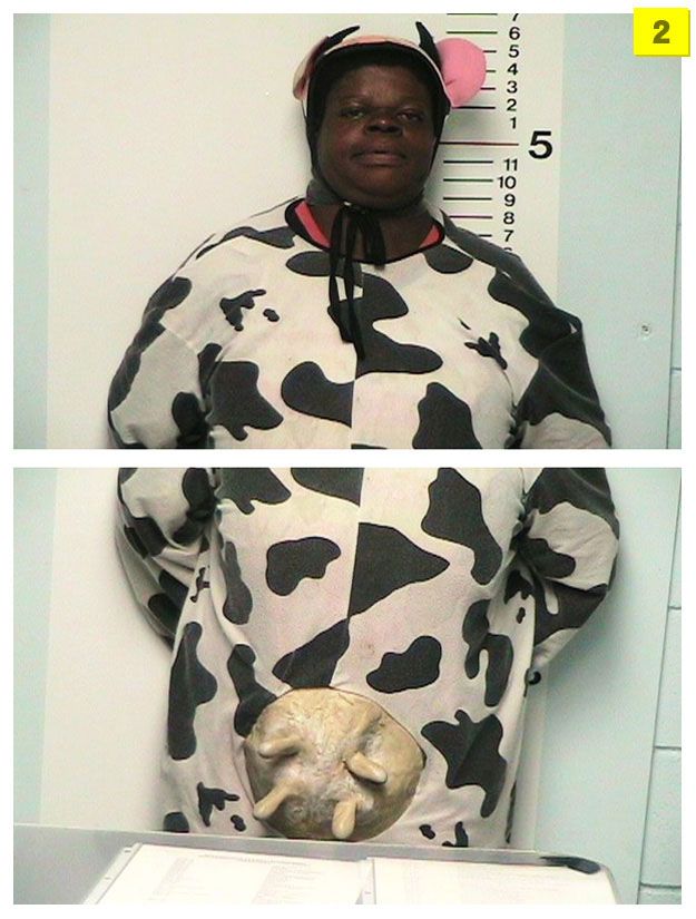 The best mug shots of 2008 (20 pics)