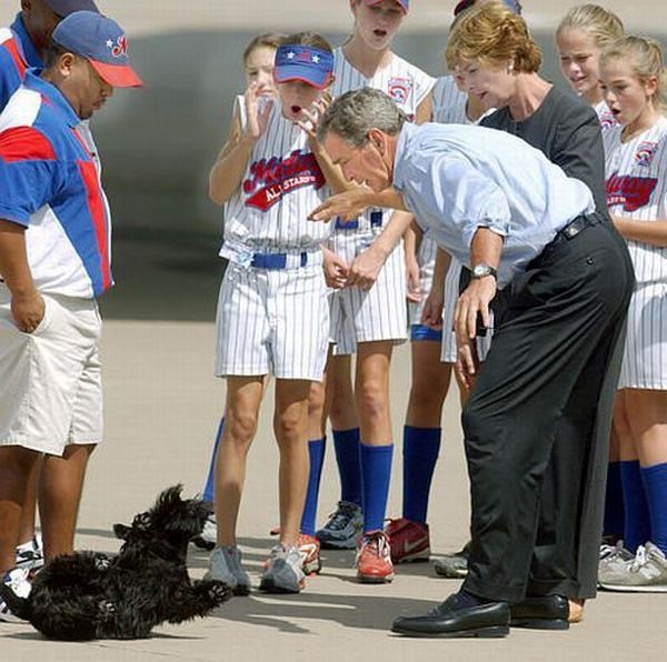 Funny picdump (80 pics)