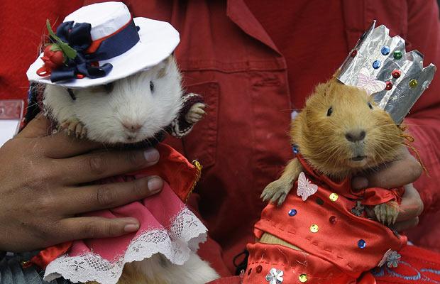 Funny picdump (80 pics)