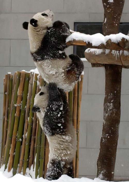 Funny picdump (80 pics)