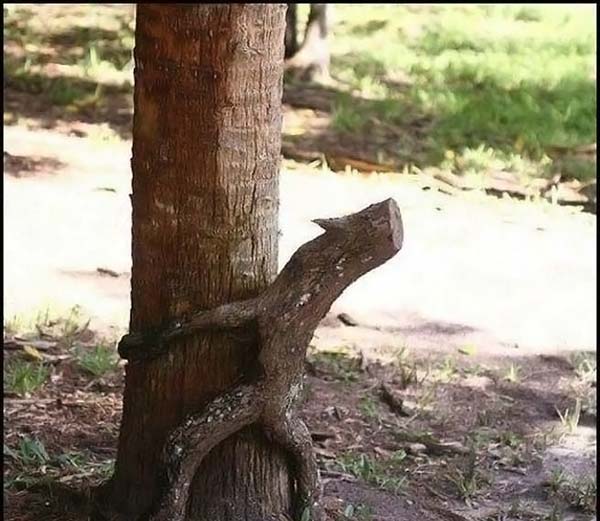 Funny picdump (80 pics)