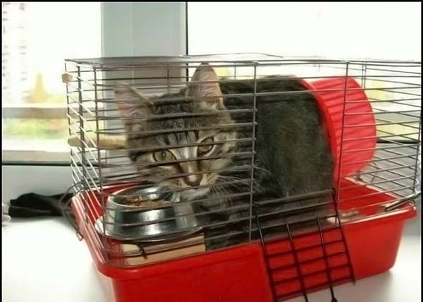 Funny picdump (80 pics)