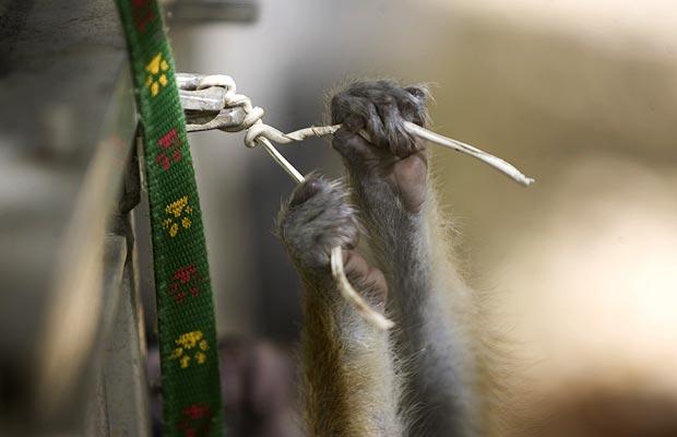 Funny picdump (80 pics)