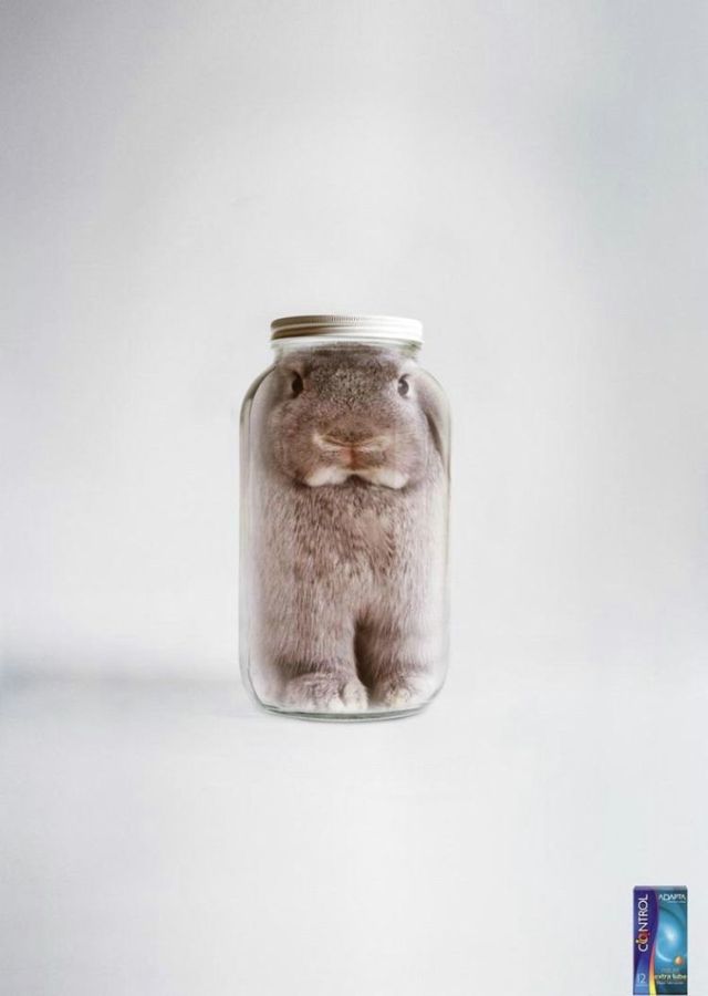 Funny picdump (80 pics)
