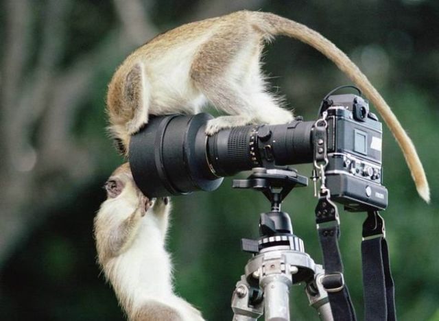 Funny picdump (80 pics)