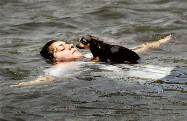 Funny picdump (80 pics)