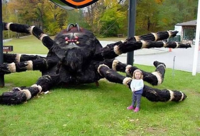 Funny picdump (80 pics)