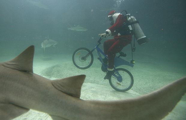 Funny picdump (80 pics)