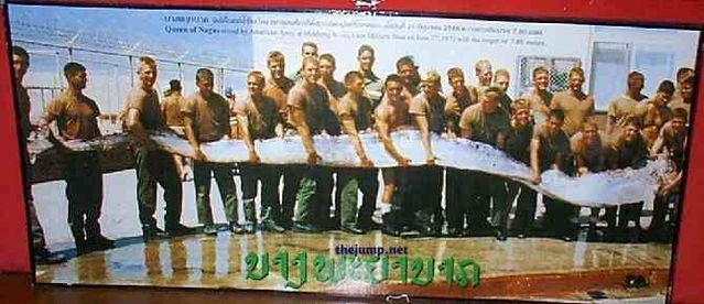 Oarfish – a very lengthy fish (25 pics + 2 videos)