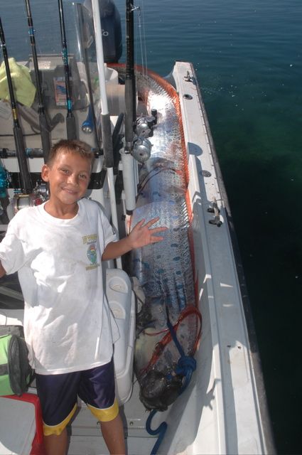 Oarfish – a very lengthy fish (25 pics + 2 videos)