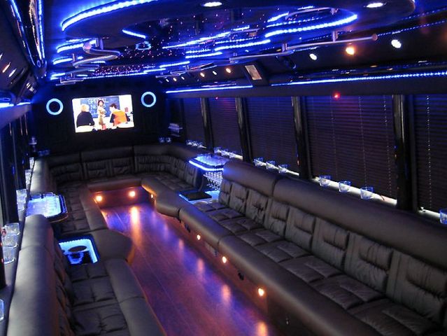 Party Bus (16 pics)