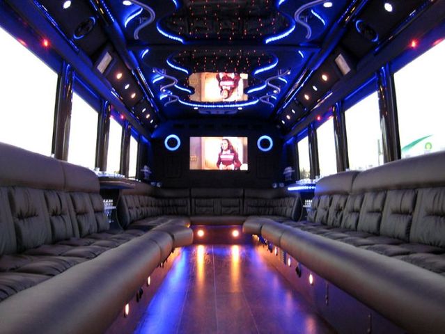 Party Bus (16 pics)