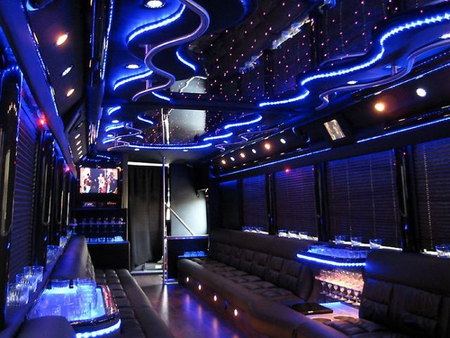 Party Bus (16 pics)