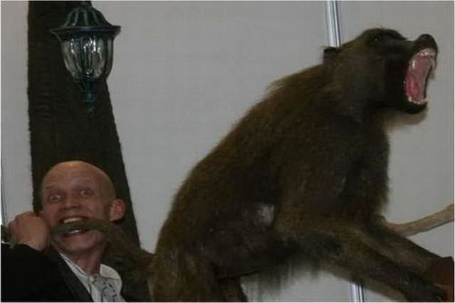 Funny picdump (108 pics)