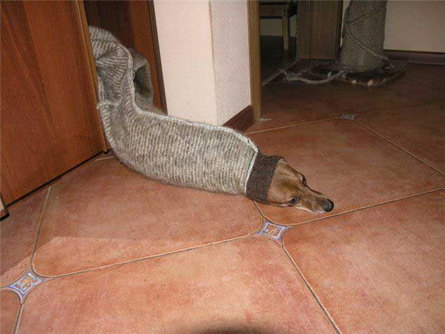 Funny picdump (108 pics)