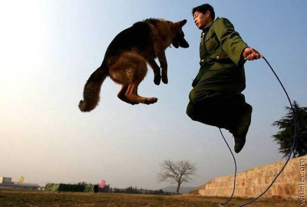 Funny picdump (108 pics)