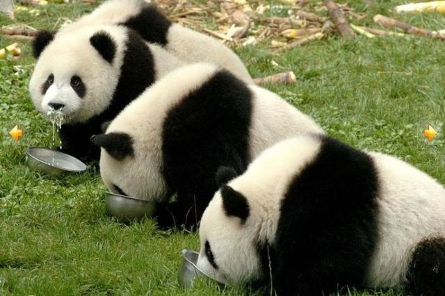 Funny picdump (108 pics)