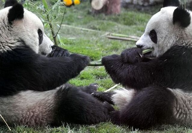 Funny picdump (108 pics)