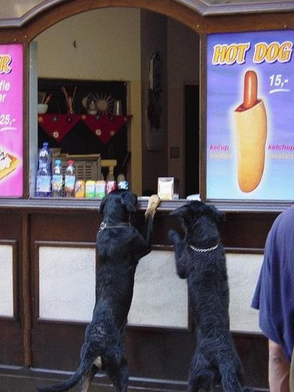 Funny picdump (108 pics)