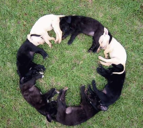 Funny picdump (108 pics)