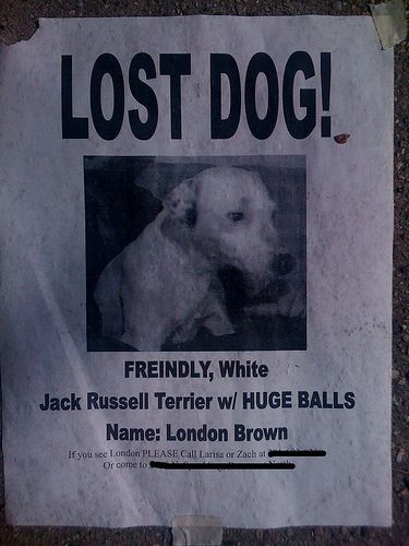 Funny picdump (108 pics)