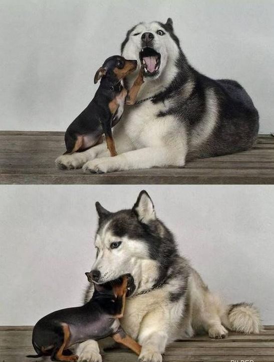 Funny picdump (108 pics)