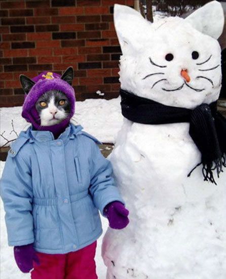 Funny picdump (108 pics)