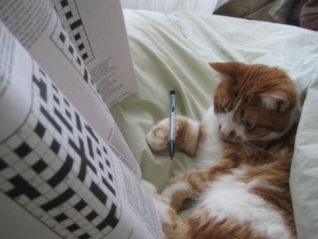 Funny picdump (108 pics)