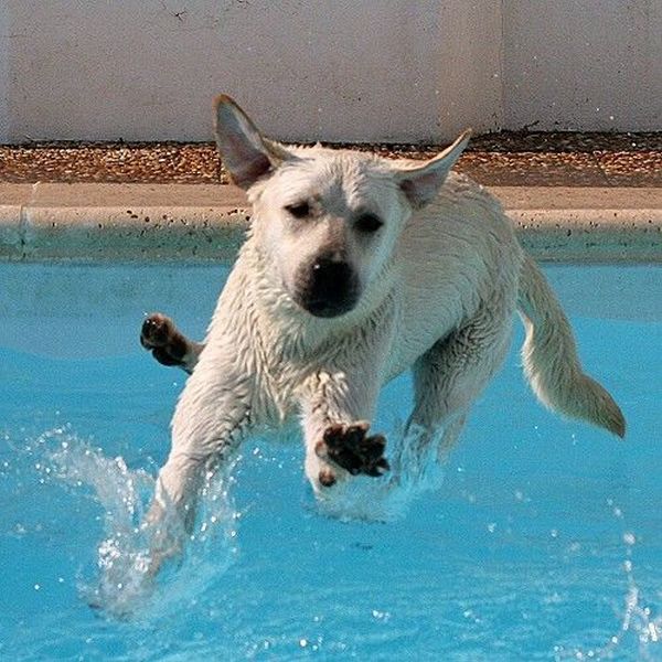 Funny picdump (108 pics)