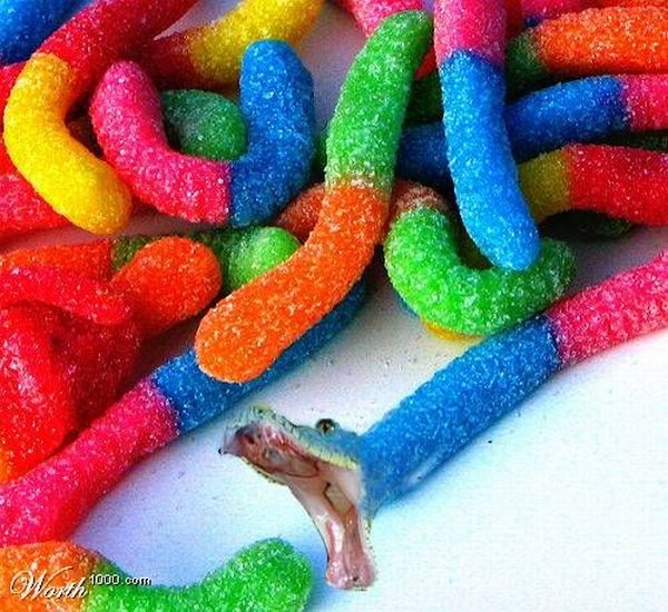 Funny picdump (108 pics)