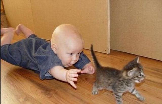 Funny picdump (108 pics)