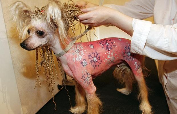 Funny picdump (108 pics)