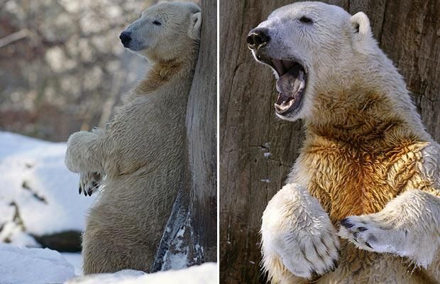 Funny picdump (108 pics)