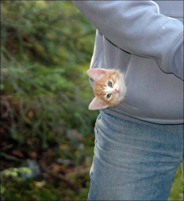 Pictures taken by surprise. Part 2 (67 pics)