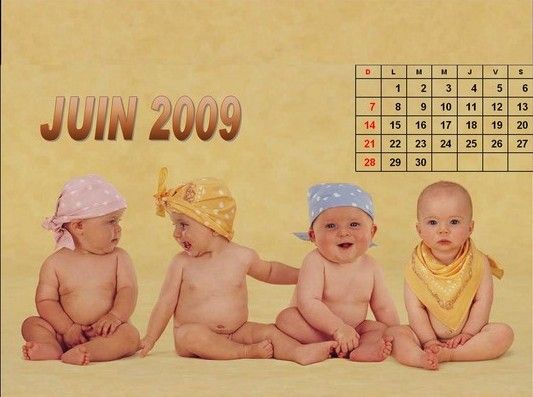 Baby Calendar Pictures
