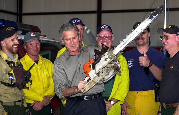 Facial expressions of George Bush (29 photos)