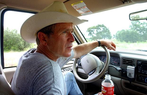 Facial expressions of George Bush (29 photos)