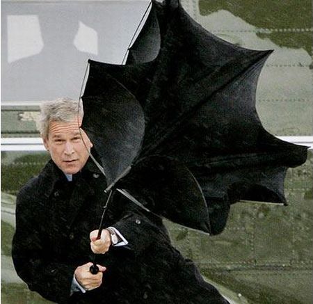 Facial expressions of George Bush (29 photos)