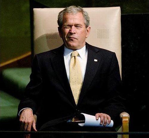 Facial expressions of George Bush (29 photos)