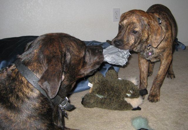 Funny picdump (78 pics)