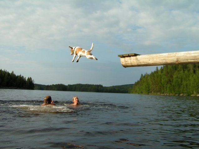 Funny picdump (78 pics)