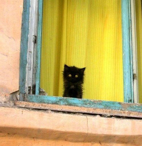 Funny picdump (78 pics)